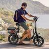 Elektrischer Roller für Erwachsene mit Sitz, Heckkorb, Doppelfederung, 500W Motor, faltbar, 48V Akku