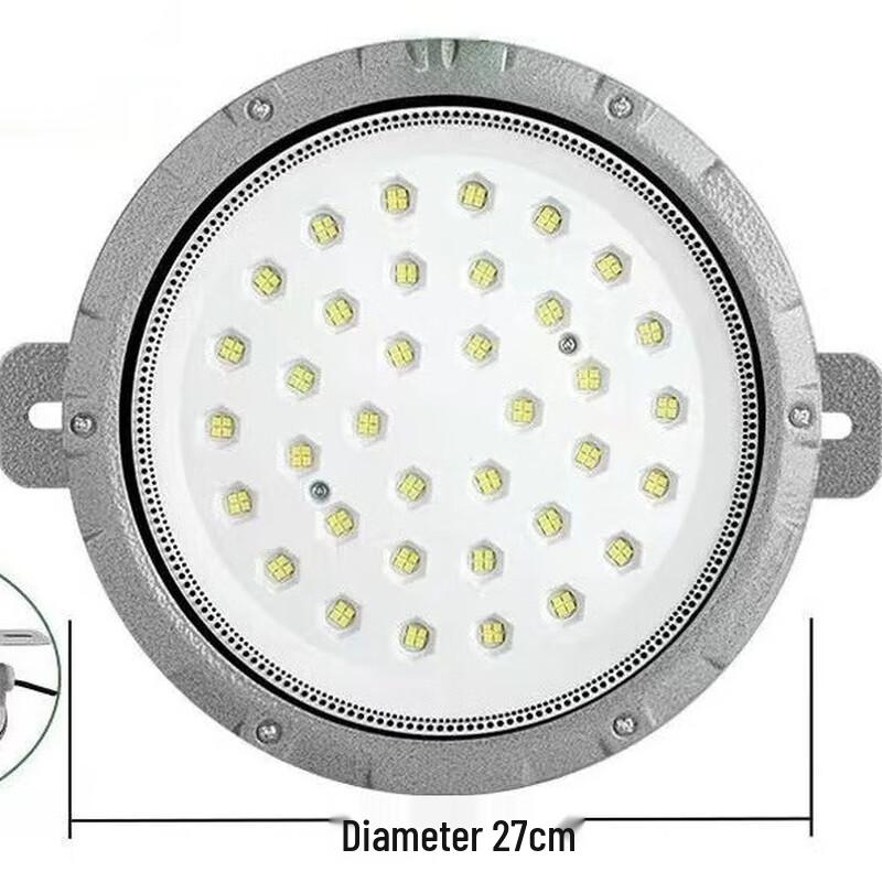 Industrial Explosion-Proof LED Ceiling Light