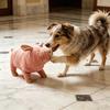 Juguete de Perro Cerdo Relleno Peluche Chirriante Animal Juguete Masticable para Perro Cerdo Rosa Perro Juguete para Acurrucarse para Cachorro Alivio de la Ansiedad por la Dentición
