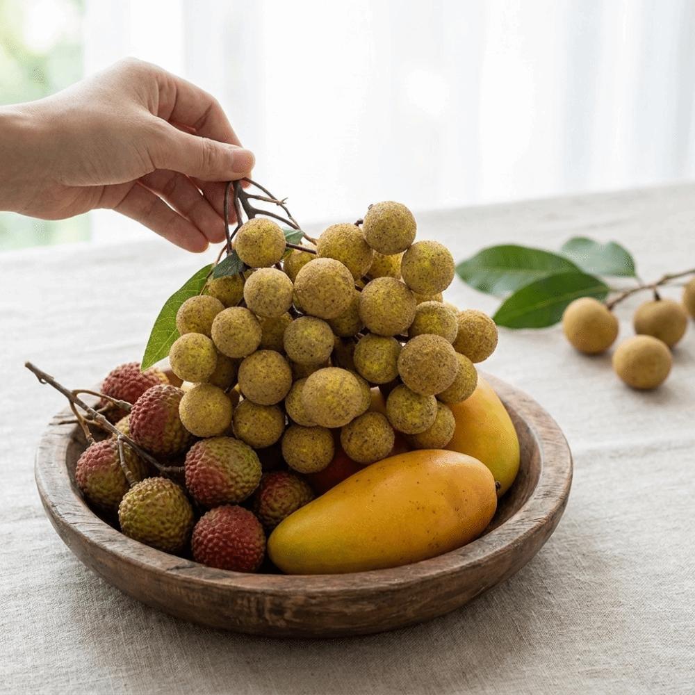 Handwerkskunst Simulation Longan Lebensecht Obstmodell Heimdekoration Künstliche Frucht Blumenarrangement