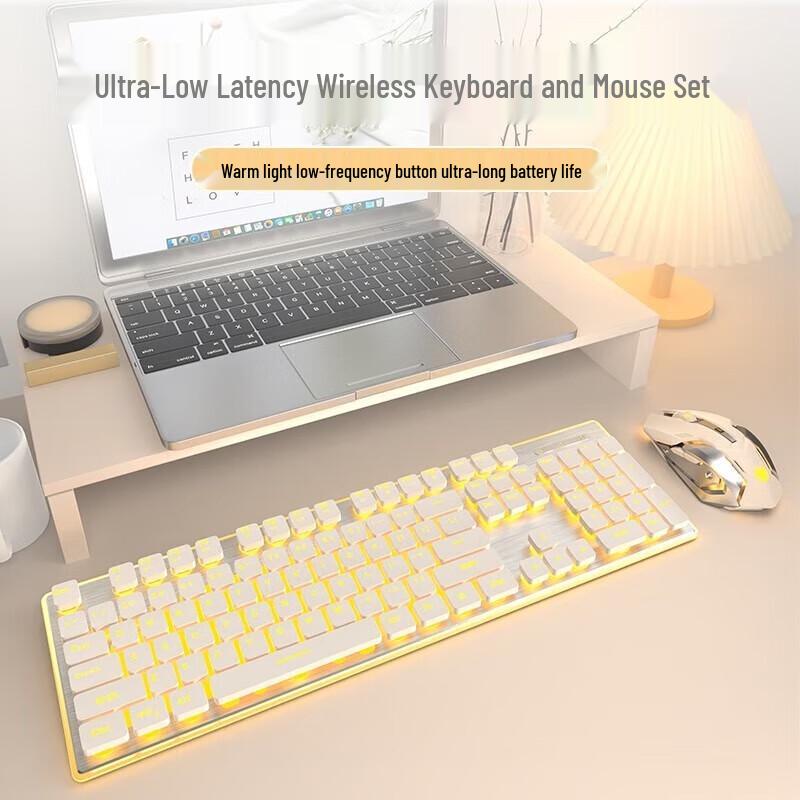 EWEADN Stille Kabellose Tastatur & Maus Combo