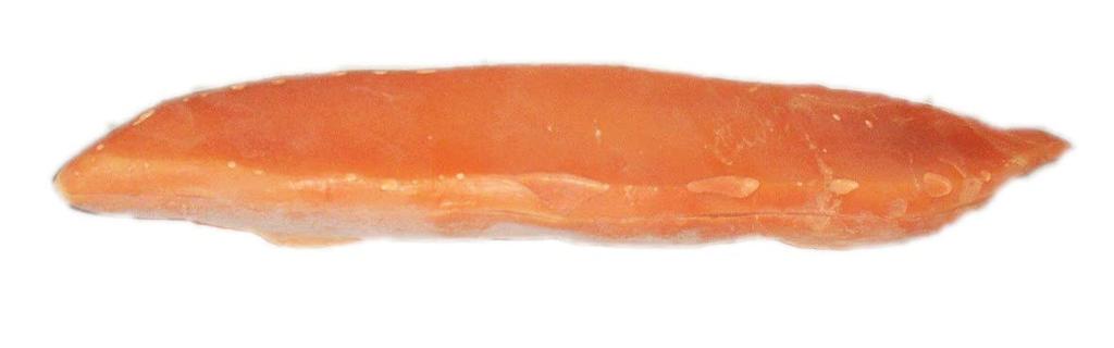 Food sample French bread Batard long 35cm long loaf,