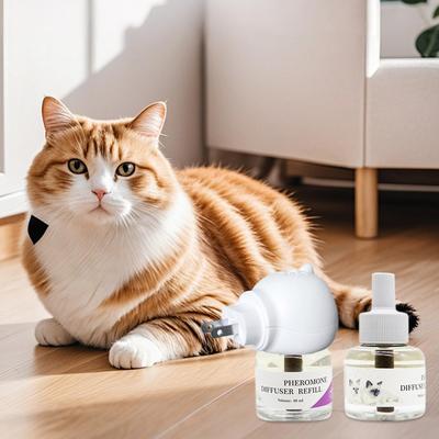 Katzen-Pheromon-Diffusor Beruhigender Pheromon-Diffusor Für Katzen Stecker Zubehör Erleichtert Schlaf Anti-Stress Komfort Für Innen Kätzchen Reise