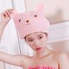 Embroidered Bear Ear Coral Fleece Quick-Dry Hair Cap for Women & Kids