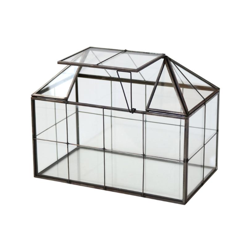 Desktop Glass Terrarium Display Case with