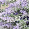 12 Branches/5 Branches Simulated Lavender Plastic Pastoral Design Simulated Flower Branch Lavender Flowers Home Wedding Decor
