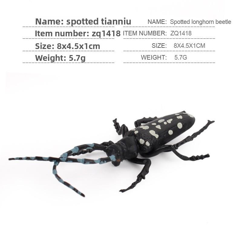 Insect Educational Toy Set With Wasps Ants Crickets Models For Kids Science Learning