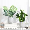 Artificial Plant Flower In A Pot For Home Office Realistic 40Cm Alocasia