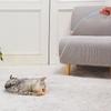 Cat Toy Kicking Toy De Jarashi Mini Garden Eel
