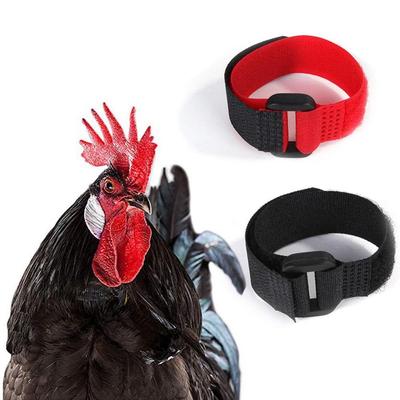 Supplies Poultry Neck Noise Free Neckband Collars Anti-Hook No Crow Rooster Collar Chicken Collar