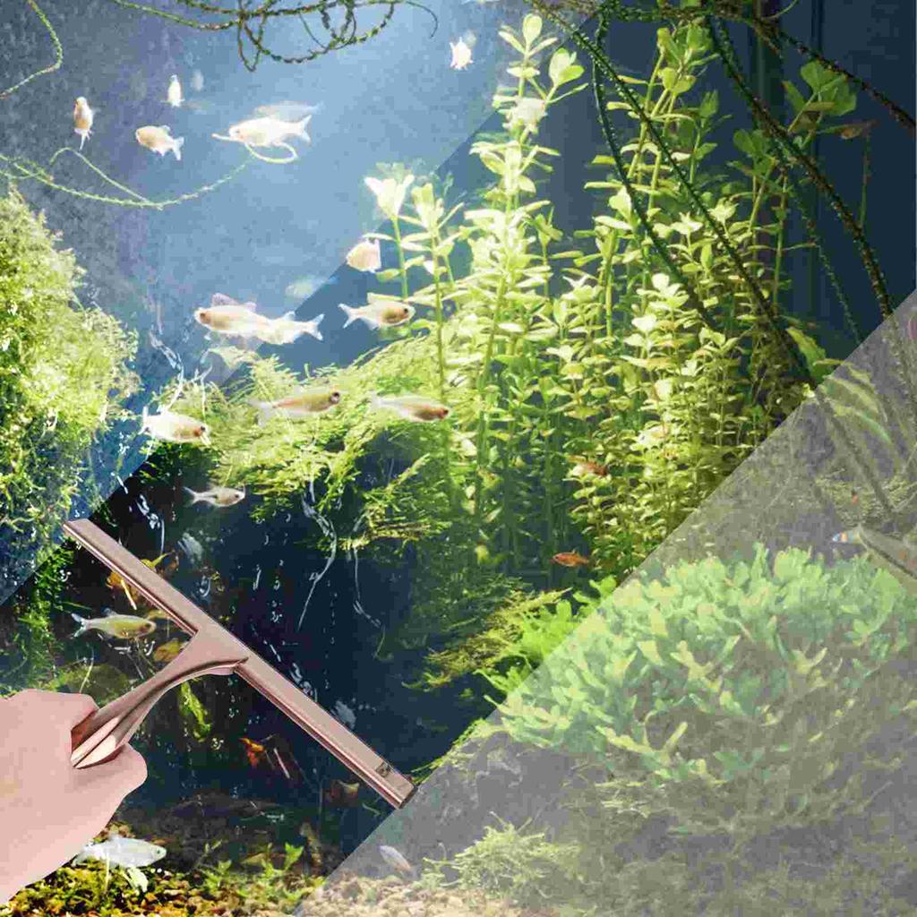 Edelstahl Abzieher Glaswischer Bronze Silikon Badezimmer Schaber Duschtürreiniger Fensterabzieher Kurzer Griff Fliese