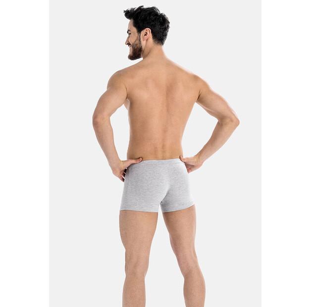 Боксеры Teyli Levi