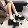 Platform Mary Jane shoes women's spring and autumn with skirts, high heels, thick heels, retro small leather shoes women