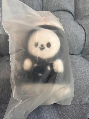 STRAY KIDS (Unopened New Item) Ribbit Kimbap Keyring Skis Ski Pop-Up