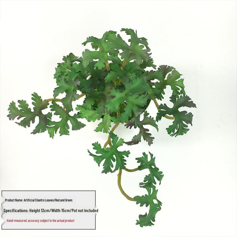 Huashe Red Air Succulent: Creative Faux Green Plant for Home Décor