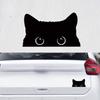 1 pieza Pegatinas para Coche Calientes Accesorios Gato Pobre Está Robando con Ojos Grandes Mira Vinilo Estilo de Coche Cubierta Impermeable PVC 15X9CM