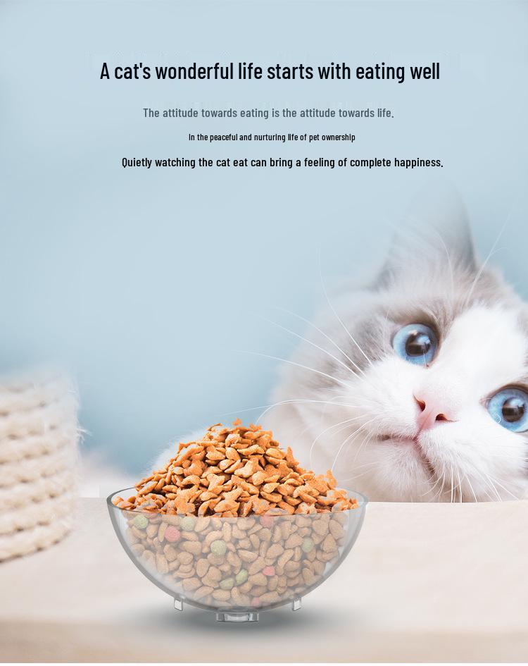 Pet Cat & Dog Transparent Double Bowl - Angled Food & Water Feeder with Neck Protection