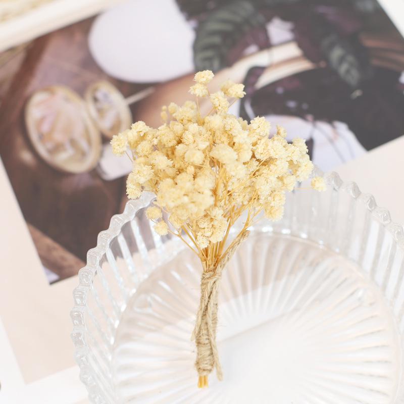 12cm Preserved Flower Boutonniere: Mini Bouquet for Bride, Bridesmaid, Wedding, Gift Box, Party Favor Decoration