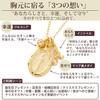K14GF Initial Necklace with Virgin Mary Medal & Zirconia Charm [H] Women's Gold Lucky Charm Jewelry Box Included Gift Present Accessory Salt