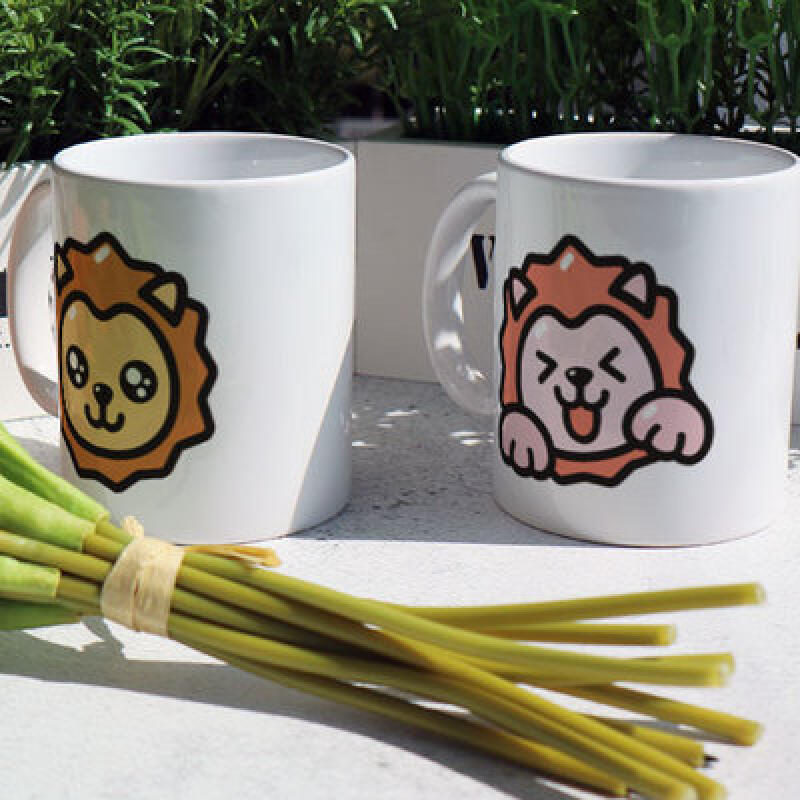 pa423-Design Mug 2p-Various Expressions 6