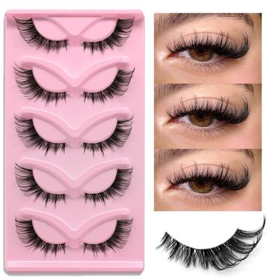 5 párů Cat Eye Lashes Umělé norkové řasy Clear Band Lashes Přirozený vzhled Jemné norkové řasy Plné proužkové řasy