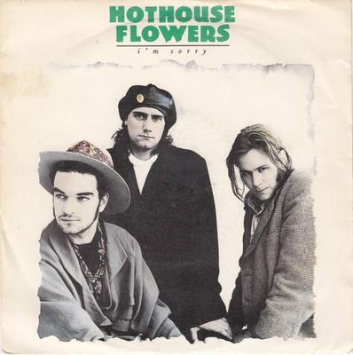 7inch Record HOTHOUSE FLOWERS - I'm Sorry LON187 LONDON RECORDS 1988 UK Rock Used