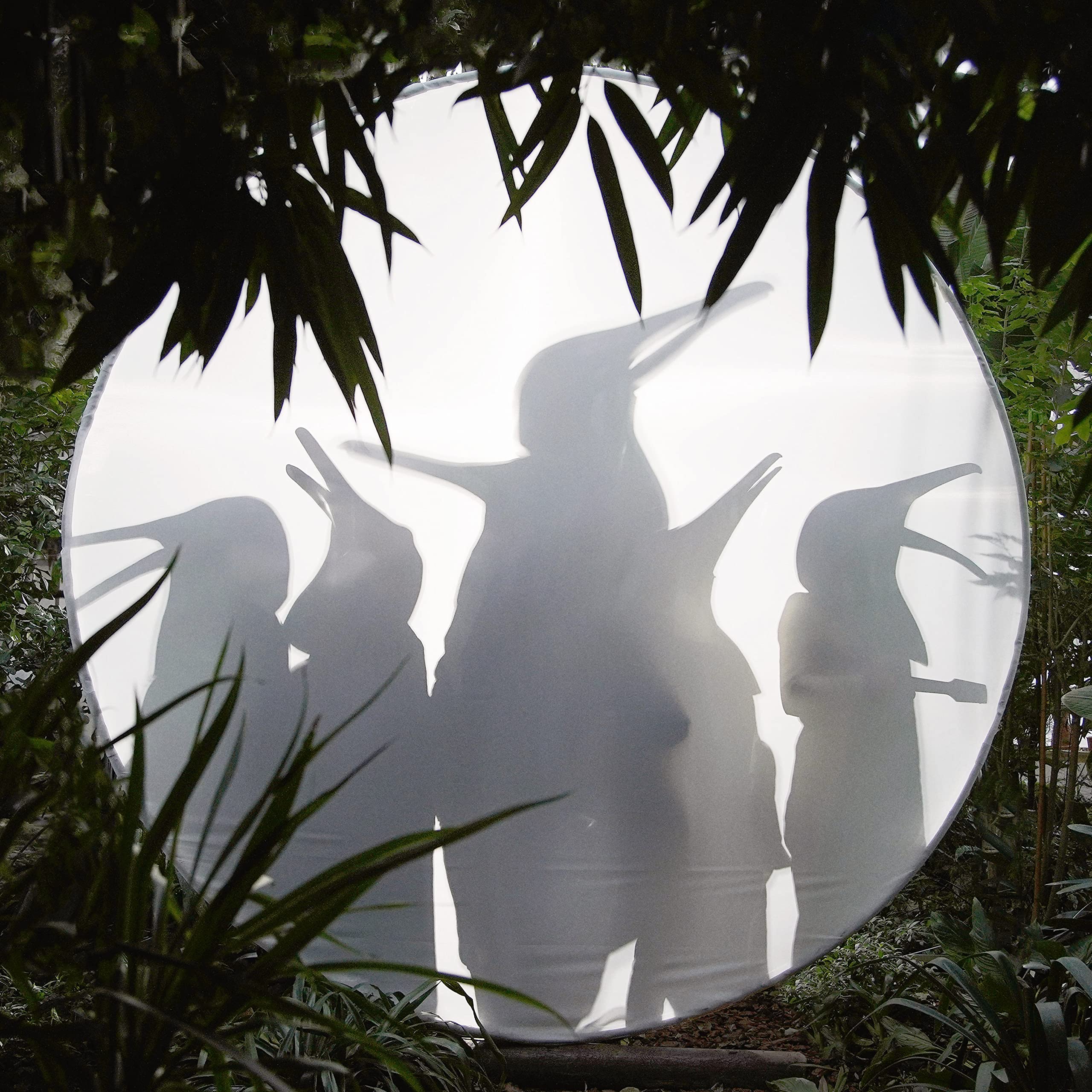 

Rain Before track download code Seven… (Clear vinyl/bonus included) (AMIP-0326LE) [Analog]