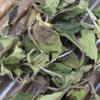 500g Fuding High Mountain White Dew Loose Leaf Tea Floral Aroma
