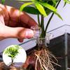 6pcs Aquarium Plant Holder Clear Planting Bracket Cup Fish Tank Mini Planter Pot Hangable Aquatic Plant Support For Fish Tank