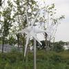 12 / 24V 8000W Wind Generator With Charge Controller Windmill Energy Turbines Wind Turbine Energy Wind Turbines Generator