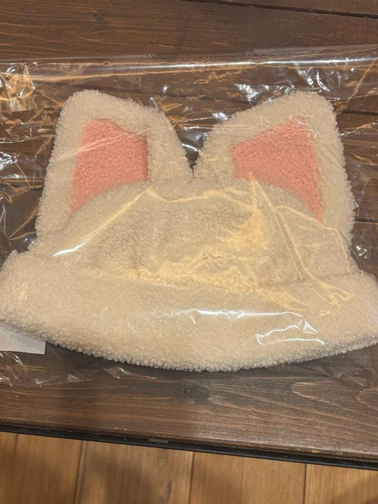 [USED] Straykids SKIZ Ien Foxini Boa Cap Dominate