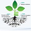 Wzmacnianie Sadzonek Roślin Nawóz Stymulujący Wzrost Korzeni Proszek do Stymulacji Korzeni Warzyw Przesadzanie Roślin i Kwiatów Ukorzenianie Sadzonek
