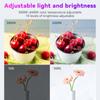 RGB LED Video Lights Conference Photography Lighting Selfie Light Photo Studio Lamp With Tripod for Shoot Live Streaming TikTok