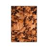 Autumn Scenery Canvas Painting Poster Pumpkin Leaves HD Printing Wall Art Picture Print Living Room Bedroom Home Decoration
