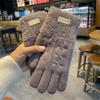 Winter Korean Version of Ins Knitted Wool Gloves for Female Students Riding Thickened Warm Double Layer Touch Screen Gloves