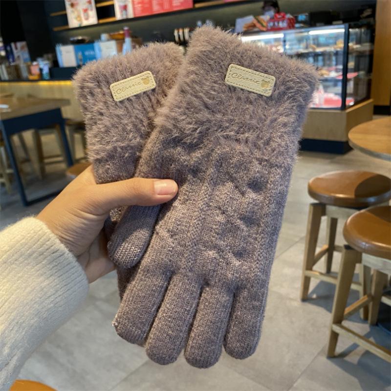 Winter Korean Version of Ins Knitted Wool Gloves for Female Students Riding Thickened Warm Double Layer Touch Screen Gloves