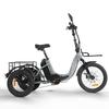Cysum AG1 Pro All-Terrain Electric Tricycle 48V20AH Battery 750W Motor 150KM Range Cargo Electric Bicycle For Unisex