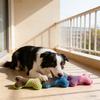 Pet Toys - Dog Vocalizing Plush Toys - - Chew Toys That Are And Easy To - Corn Fiber Edge-bound Companion Toys For Relaxation And Entertai