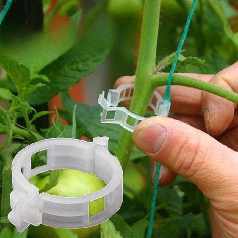 50/100/200pc Plant Clips Supports Reusable Plastic Connects Fixing Vine Tomato Stem Grafting Vegetable Plants Orchard and Garden