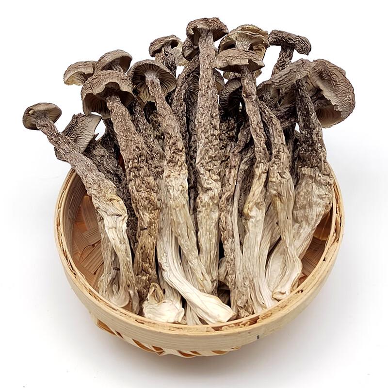 Guangwu Liangyuan Nanjian Deer Antler Mushrooms