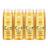Fenghua Ginger Anti-Dandruff & Oil Control Shampoo