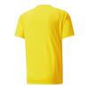 Puma Mens TeamVision Football Jersey