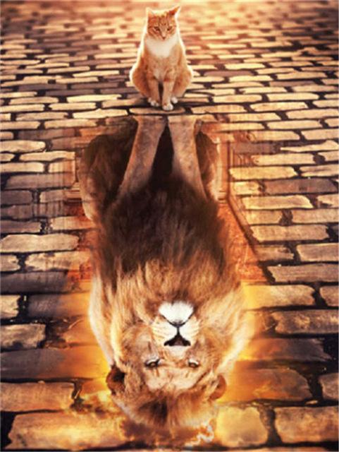 Broderie cu diamante 5D cu punct de cruce Wolf Diamond Art Painting Mozaic alb-negru Cadou lucrat manual