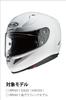 HJC HELMETS Pinlock & Tear-Off Shield, Dark Smoke, for RPHA11 (HJ-26, HJP208)