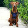 Reflective Dog Harness No Pull Adjustable Dog Harness Vest Breathable Pet Harness For Small Medium Large Dog Pet Supplies