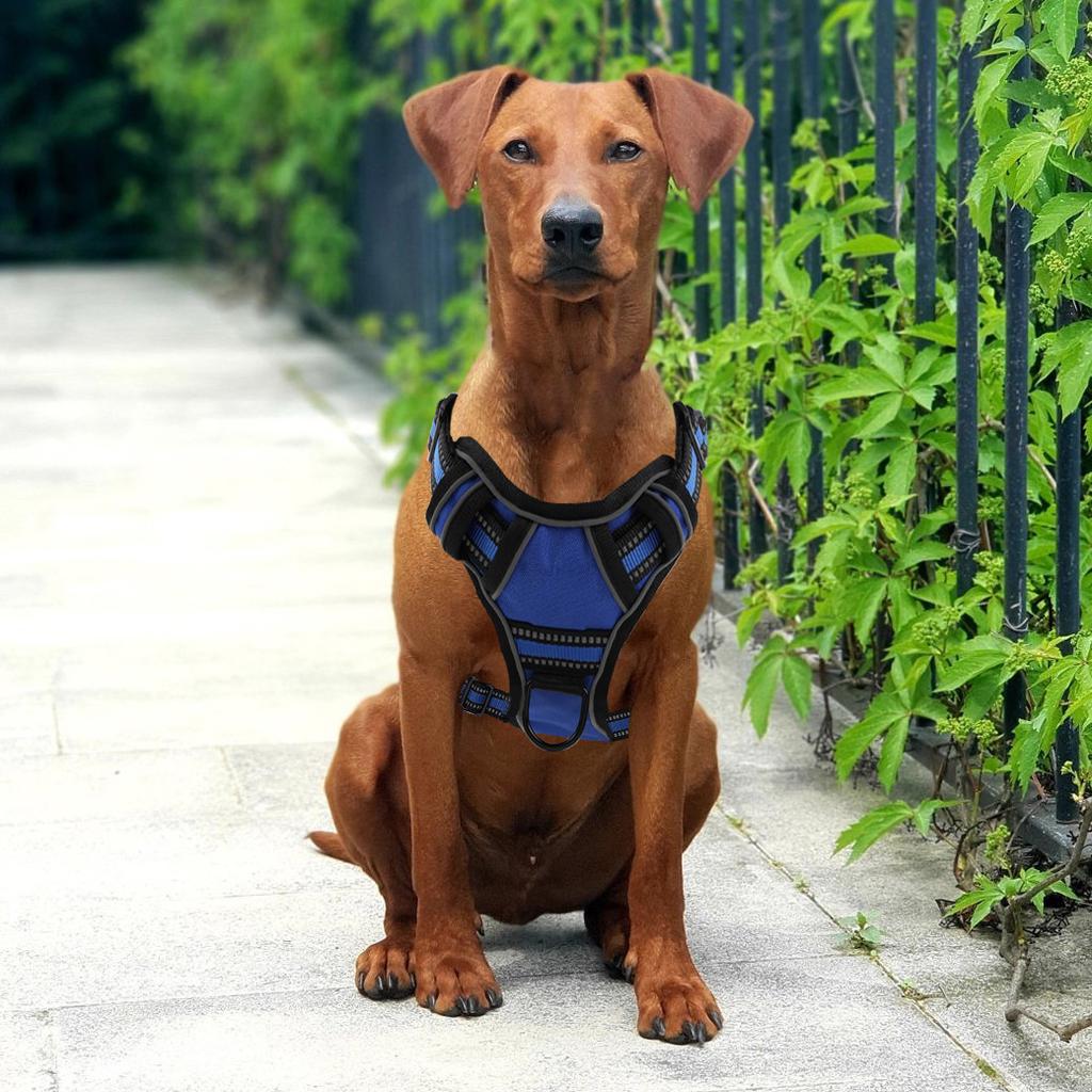 Reflective Dog Harness No Pull Adjustable Dog Harness Vest Breathable Pet Harness For Small Medium Large Dog Pet Supplies