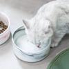 Cat Food Bowls, Drinking Bowls, Pet Snack Bowls and Pet Supplies for Protecting The Cervical Vertebrae