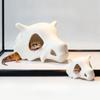 Fish Tank Oranament Aquarium Decor 3D Printed Anime Style Skull Reptile Hideouts for Terrarium Habitat 100% Safe Home Decoration