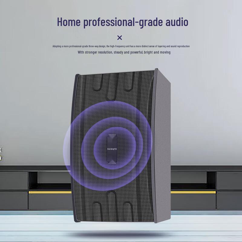 SAST Professional KTV & Conference Passive Speakers