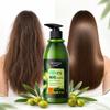 BIOAQUA Oliven Glättendes Feuchtigkeitsspendendes Shampoo 400ml für Trockenes Krauses Haar Tiefenpflegende Haarpflege Glatt Weich Glänzend Frizz Kontrolle